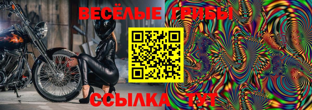 Псилоцибиновые грибы Magic Shrooms  где купить наркоту  Сегежа  Вход с VPN  Псилоцибиновые грибы Psilocybe 